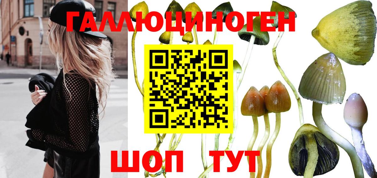 Арсеньев  Псилоцибиновые грибы GOLDEN TEACHER  Вход с VPN 